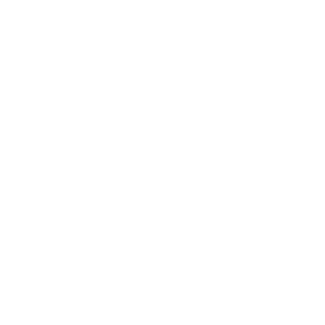 Nordic Style